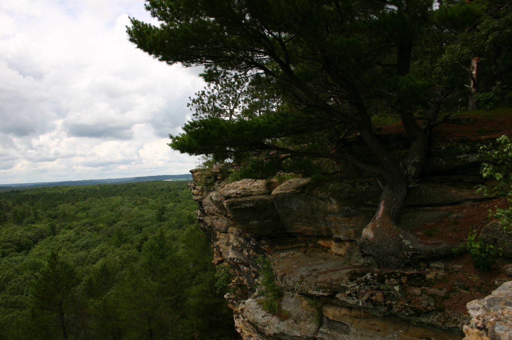 Wildcat Mound Park